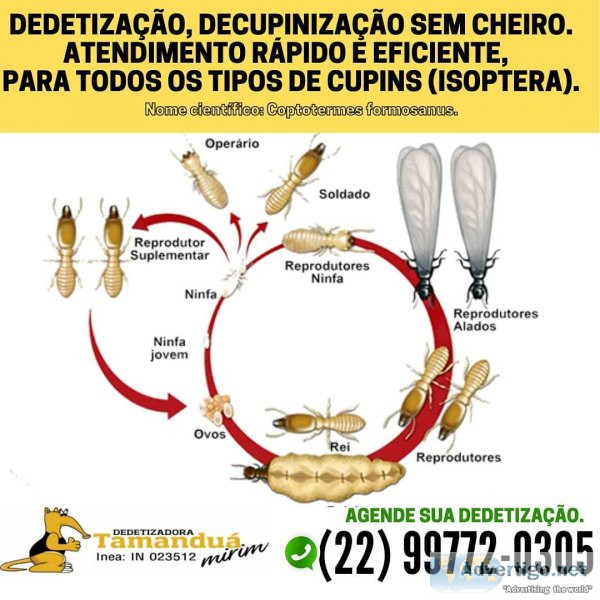 Dedetizacao em macaé