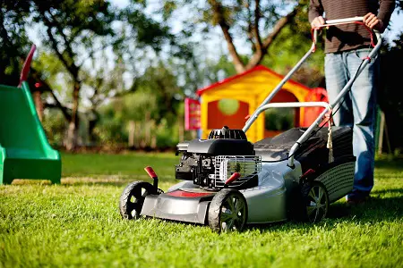 Calgary lawn care and maintenance service | green drop