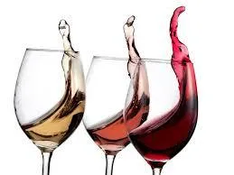 True Fine Wines at Your Door