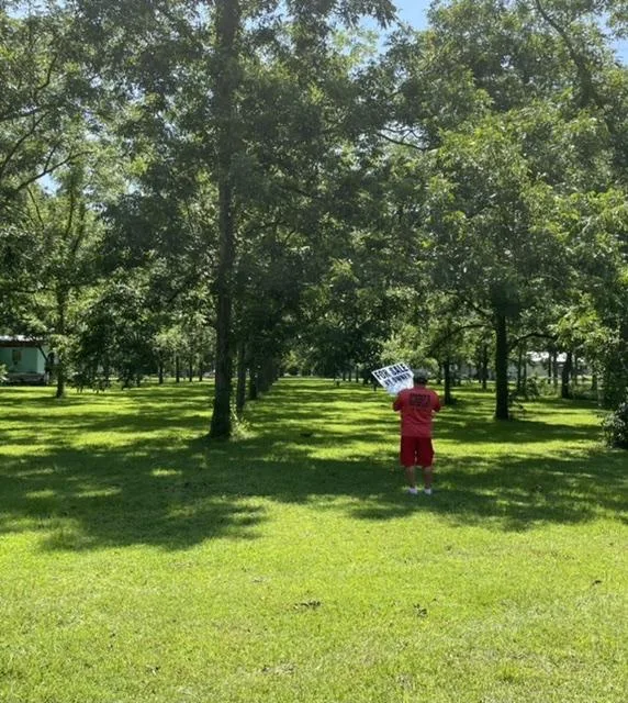 Lot for sale