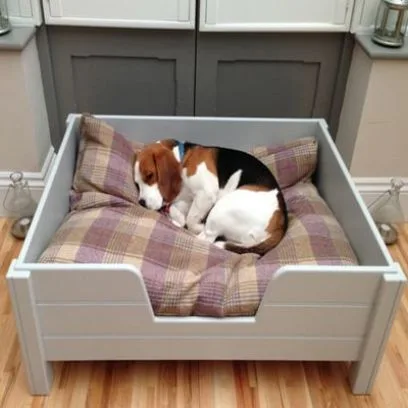 Buy pet house online in bangalore