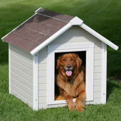 Buy pet house online in bangalore
