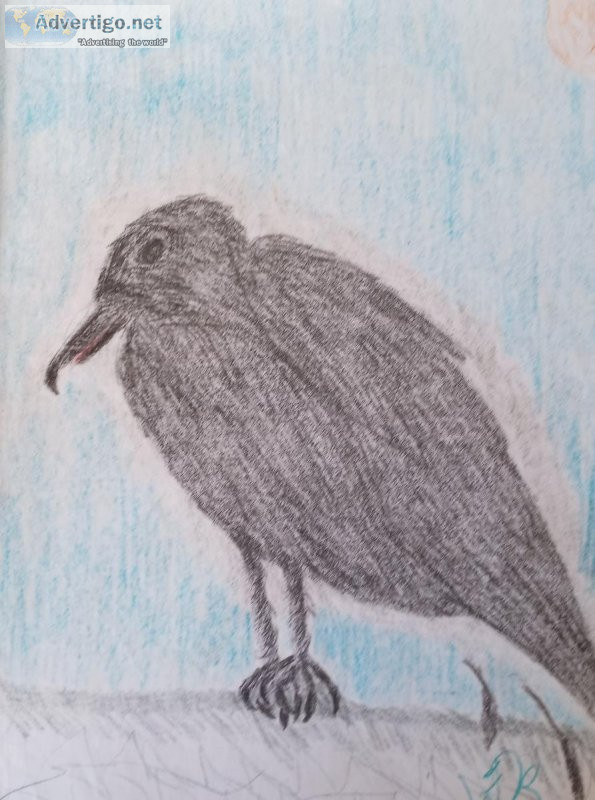 Blackbird on a Fence