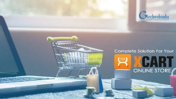 How Well Do You Understand Product Data Entry Services For X-Car