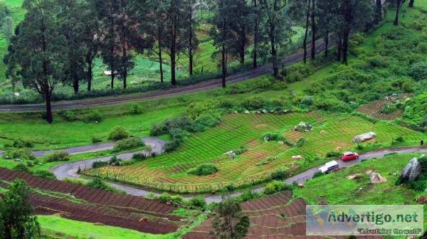 Bangalore to Munnar Package