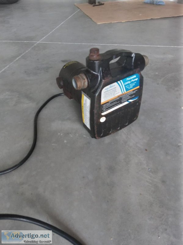 Portable Utility Pump