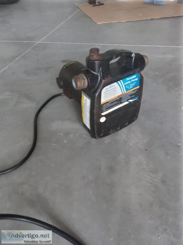 Portable Utility Pump