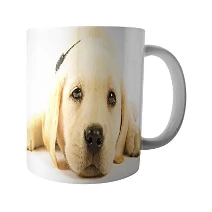 Buy Ceramic Coffee Mugs in Oklahoma