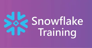 Snowflake professional training online