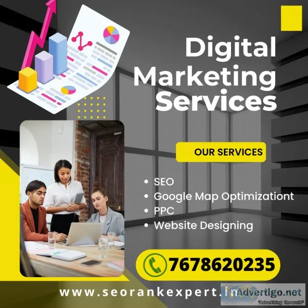 Hire seo expert freelancer delhi gurgaon noida