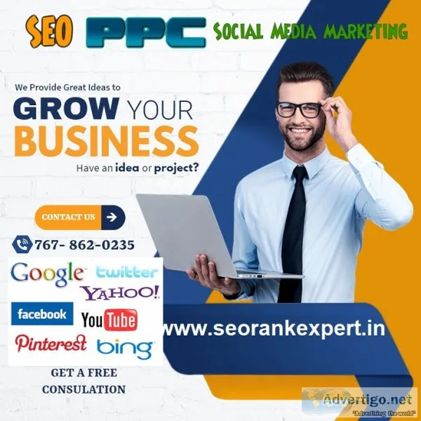 Hire seo expert freelancer delhi gurgaon noida