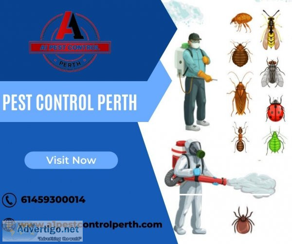 Hire experienced pest control in perth to eradicate pest