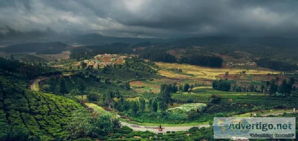Munnar Trip Plan for 3 Days