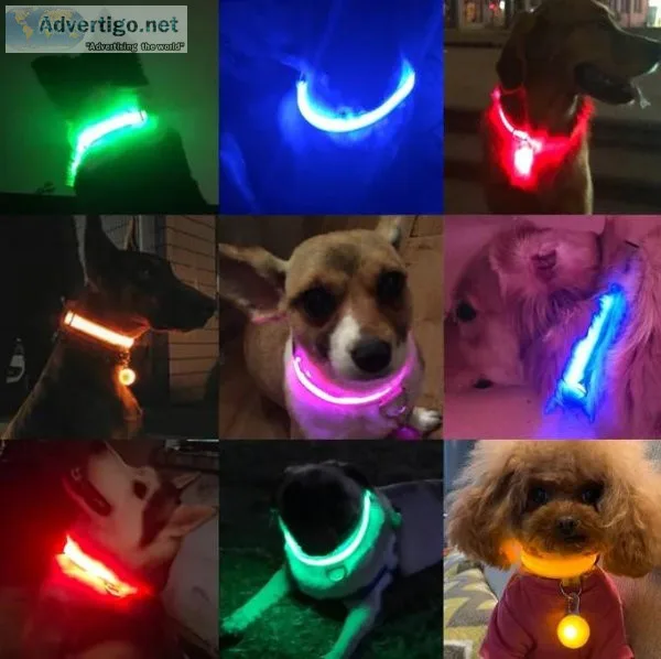 USB Charging Led Dog Collar