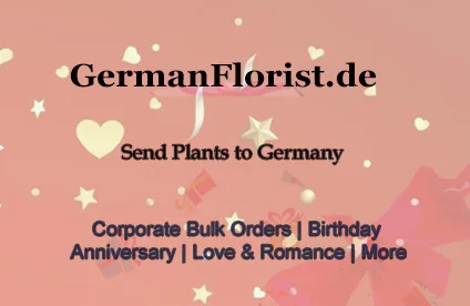 Plants to germany at absolutely affordable prices
