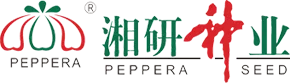 Hot pepper, Eggplant, Pumpkin, Cucumber, Bitter gourd Manufactur