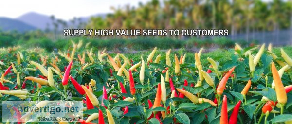 Hot pepper, Eggplant, Pumpkin, Cucumber, Bitter gourd Manufactur