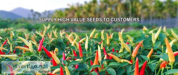Hot pepper, Eggplant, Pumpkin, Cucumber, Bitter gourd Manufactur