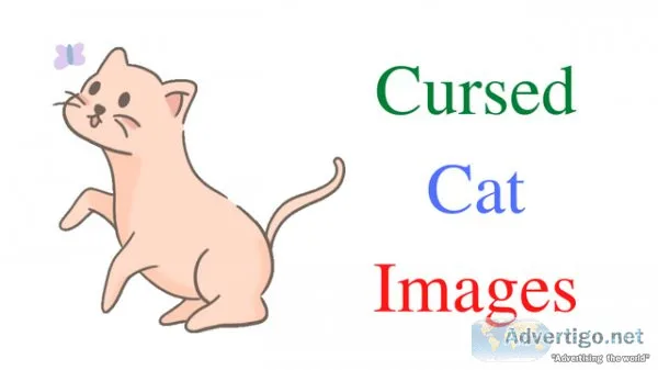 Cat Information and Cursed Cat Images