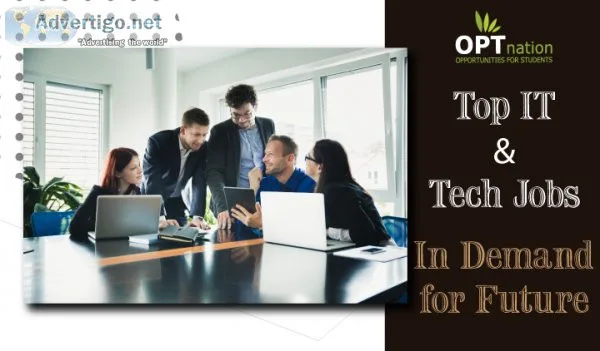 Opt jobs in usa