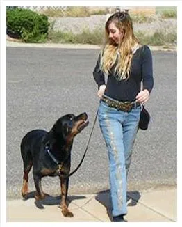 5 tips owners can apply to keep their dogs mentally stimulated