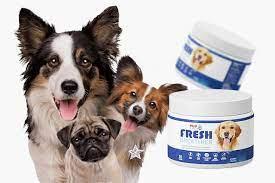 Stinky dog breath Do THIS now