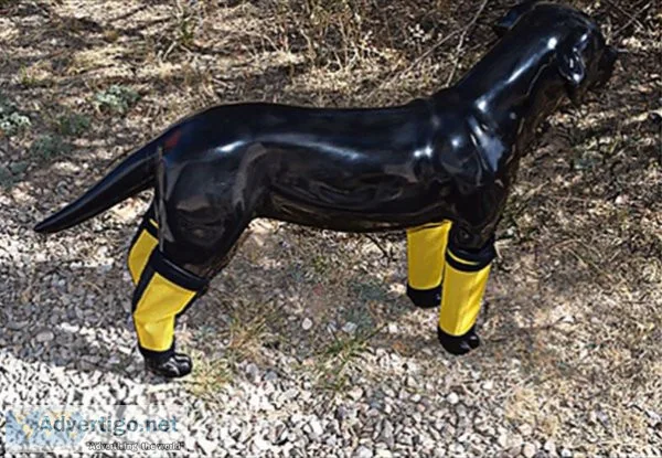 Buy Dog Leggings from My Horse Specialty for the Best Deal