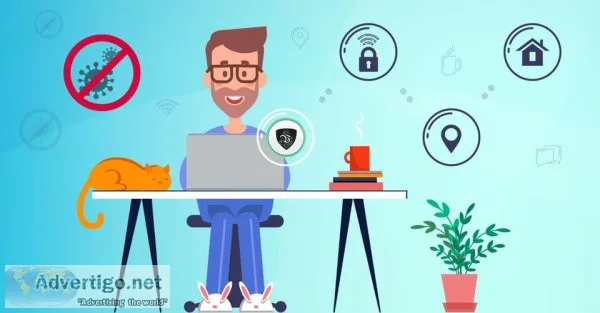 Top website company in jaipur +91-9166885658