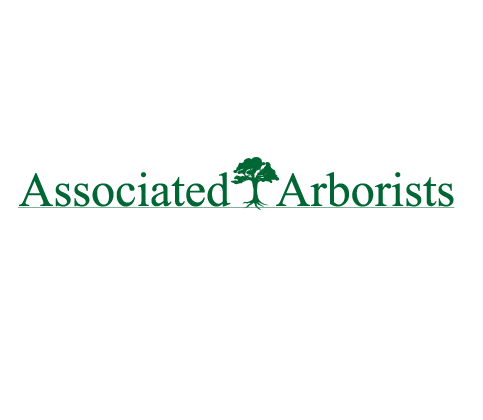 For Commercial Tree Service Visit Associated Arborist