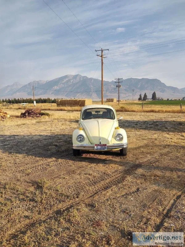 1974 Volkswagen beetle