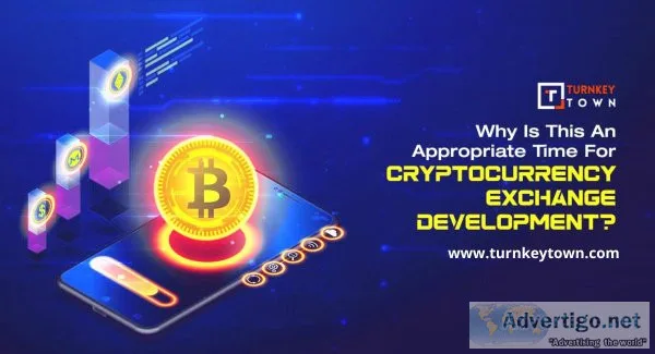 White-label cryptocurrency exchange script and other development