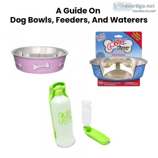 A Guide On Dog Bowls Feeders And Waterers