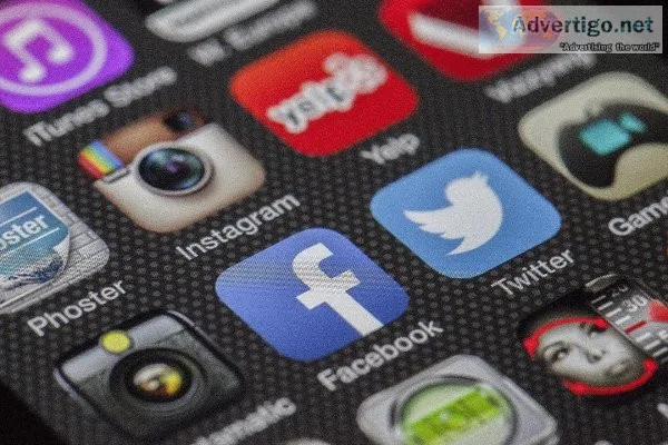 Social Media Manager (No Experience Required)