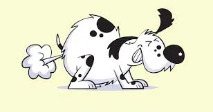 Fart odor eliminator for dogs and people