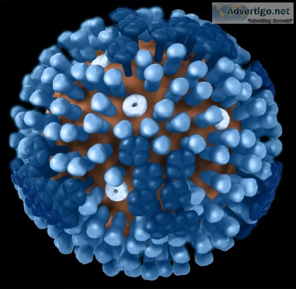 Swine flu