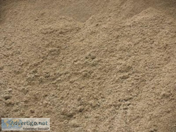 Horse paddock Sand