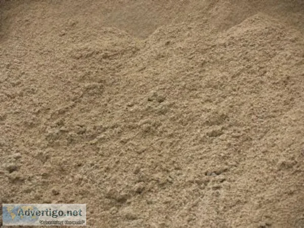 Horse paddock Sand
