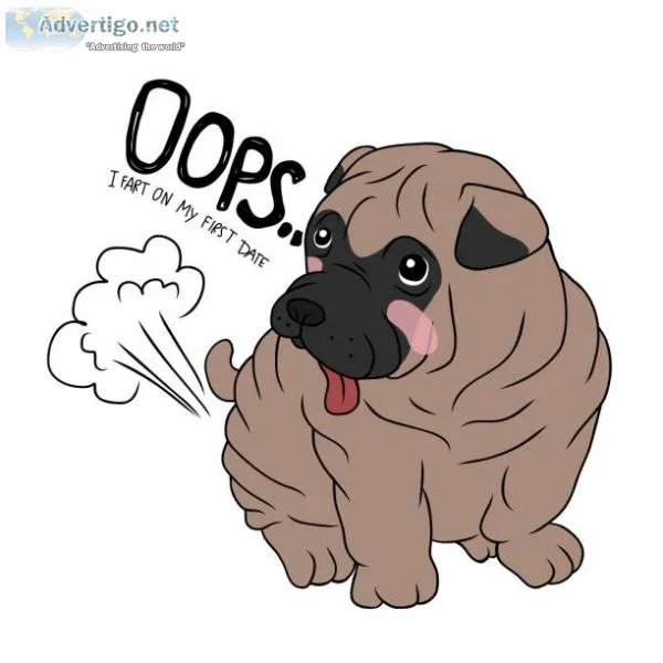 Fart odor eliminator for dogs and people