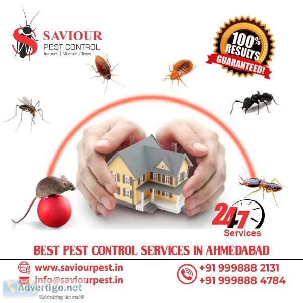 Fogging service in ahmedabad