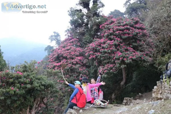 Ghorepani poon hill trek