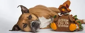 The Dog Training Clinic LLC