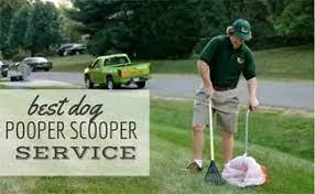 Looking for Dog poop clean up in your Area