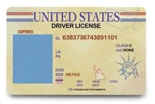American and Canadian Driver&rsquos Licenses Available