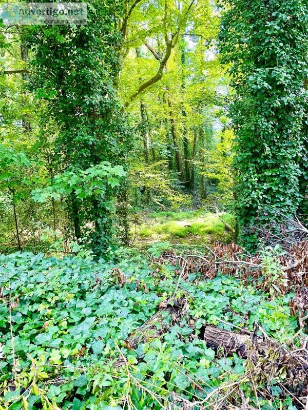 Vacant Adjacent Infill Lots near Downtown Atlanta