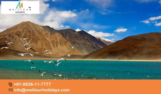 Leh ladakh tour package - meilleur holidays