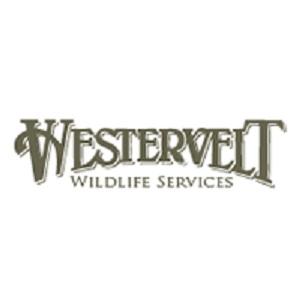 Hunting Clubs Looking For Members I Westervelt Wildlife Services
