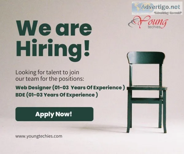Hiring For Web Designer and BDE