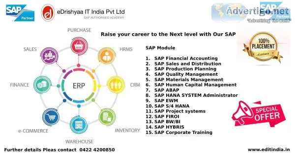 Transformation Path Career Growth