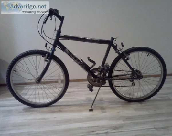 Magna 17&rdquo frame bike for boys or young adult