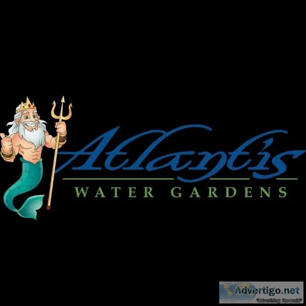 Fish Pond Repair Near Randolph